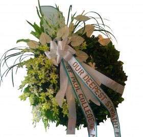 /media/2011/08/corona funus-3.jpg